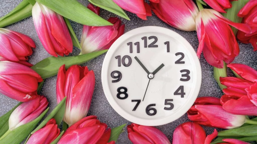 Daylight saving time El Paso Texas 2026: date and how to properly adjust your clock on the border